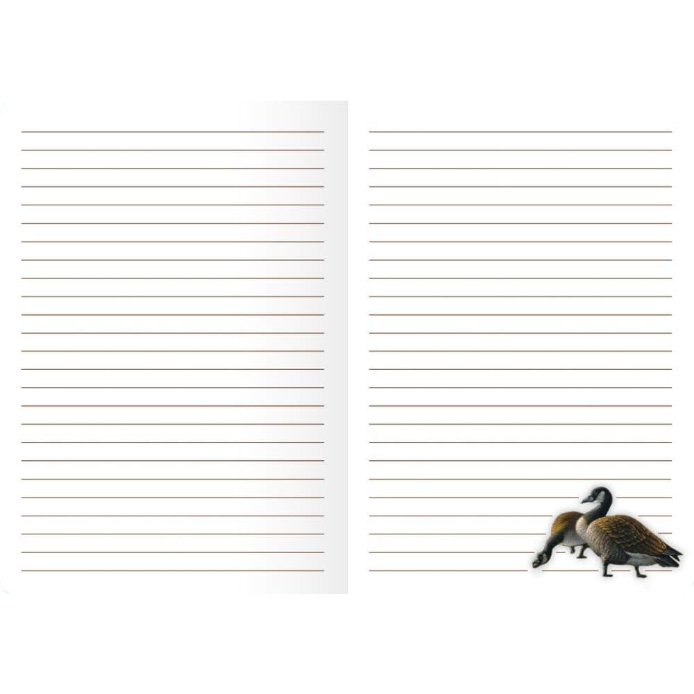 The Colors of Spring Classic Journal by Terry Redlin Alternate Image 1