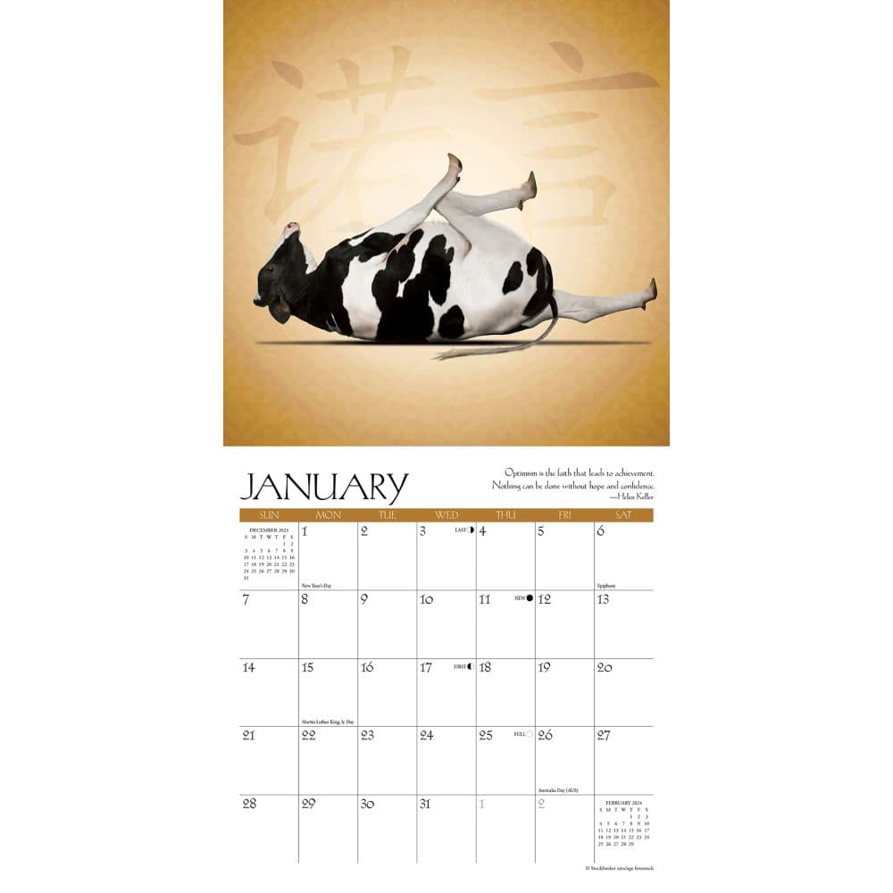 Cow Yoga 2024 Mini Wall Calendar