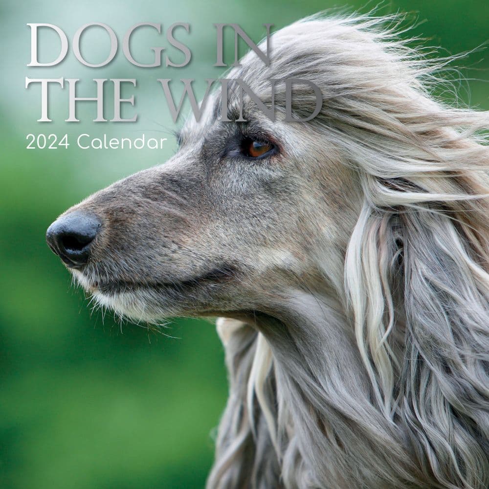 Dogs in the Wind 2024 Wall Calendar Main Product Image width=&quot;1000&quot; height=&quot;1000&quot;