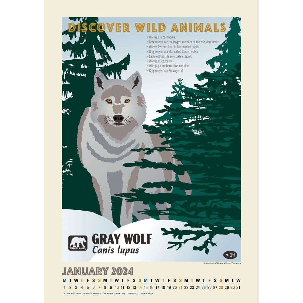 American Wildlife Poster 2024 Wall Calendar Third Alternate Image width=&quot;1000&quot; height=&quot;1000&quot;