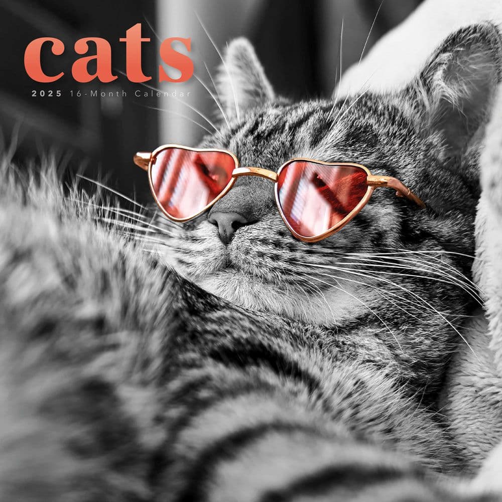 Classic Cats 2025 Wall Calendar