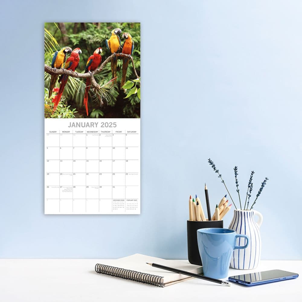 Exotic Birds 2025 Wall Calendar Second Alternate Image width=&quot;1000&quot; height=&quot;1000&quot;