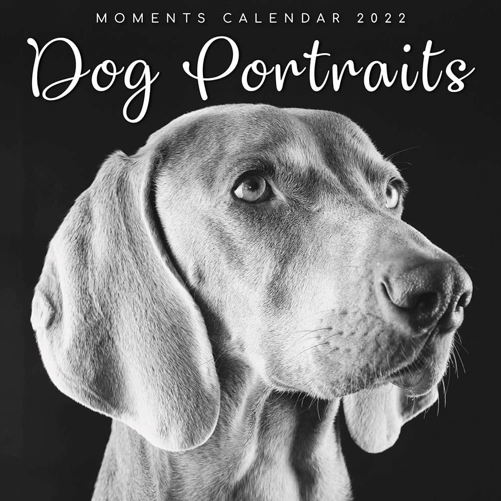 Dog Portraits 2022 Wall Calendar