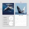 image Whales 2026 Wall Calendar Fourth Alternate Image