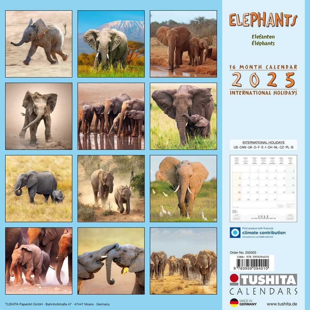 Elephant Families 2025 Wall Calendar First Alternate Image width="1000" height="1000"