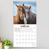 image Horses 2025 Wall Calendar