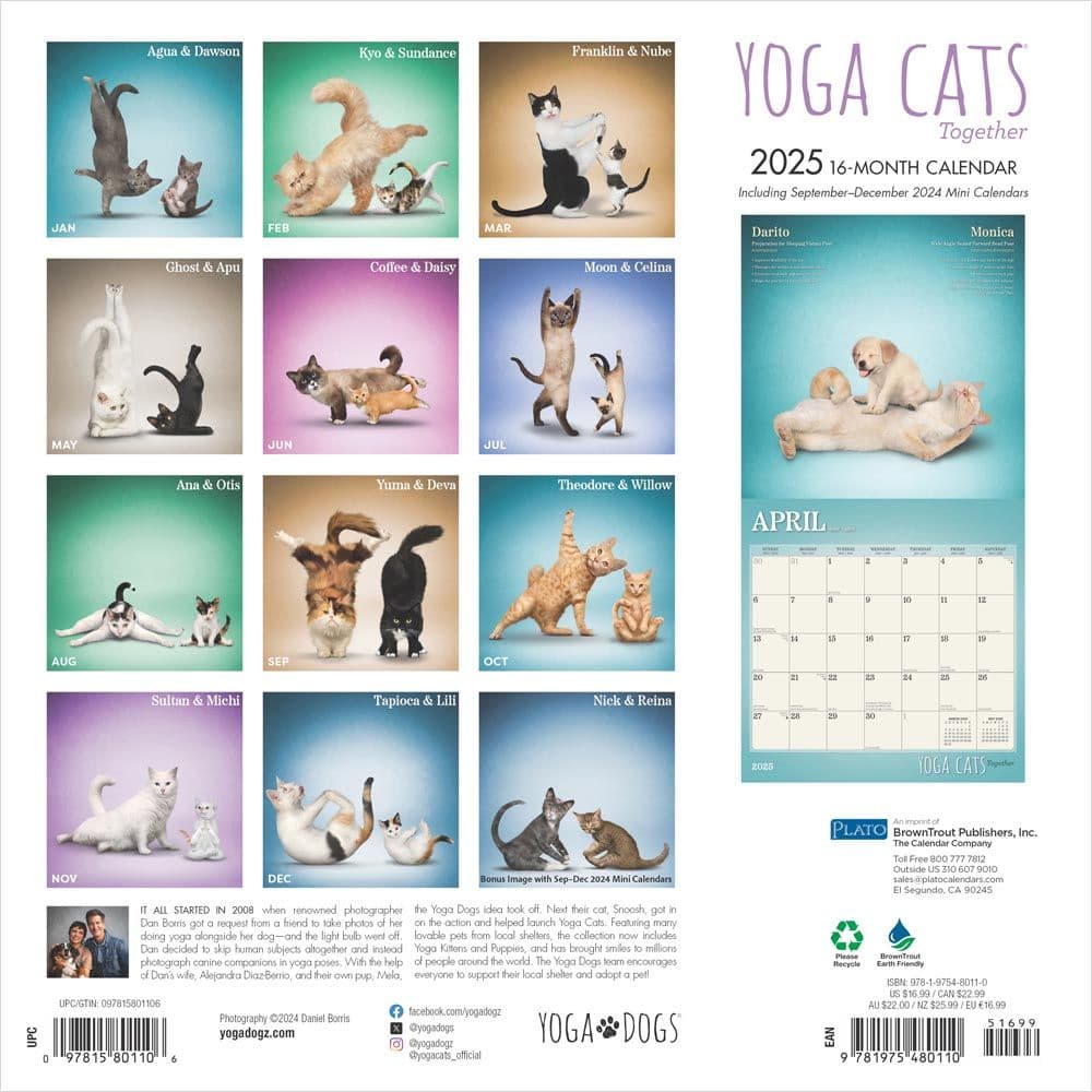 Yoga Cats Together by Plato 2025 Wall Calendar First Alternate Image width=&quot;1000&quot; height=&quot;1000&quot;