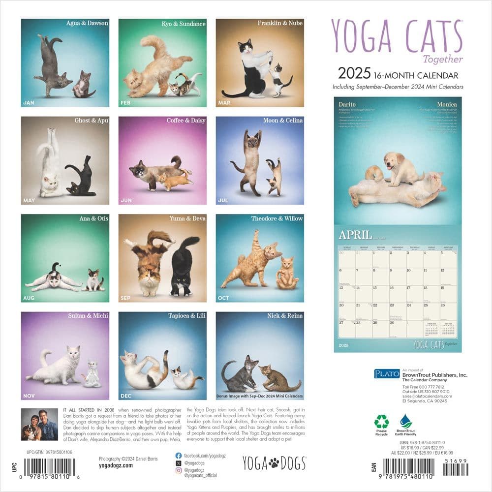 Yoga Cats Together by Plato 2025 Wall Calendar First Alternate Image width=&quot;1000&quot; height=&quot;1000&quot;