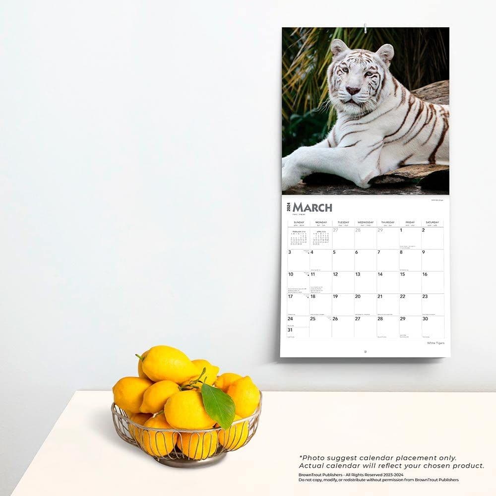 White Tigers 2024 Wall Calendar Third Alternate Image width=&quot;1000&quot; height=&quot;1000&quot;