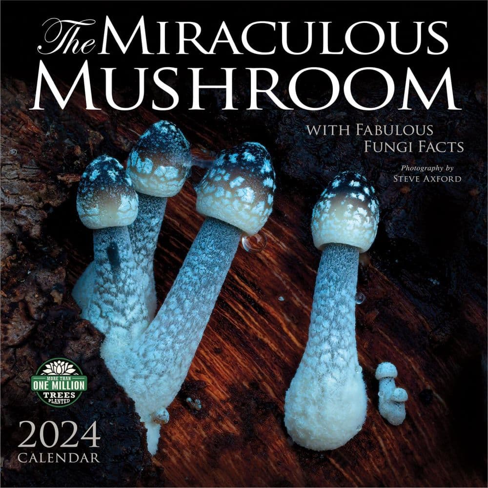 Miraculous Mushroom 2024 Wall Calendar Main