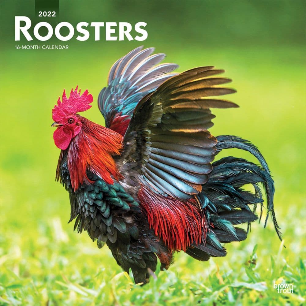 Customer Favorite Roosters 2022 Wall Calendar | Earth Shop