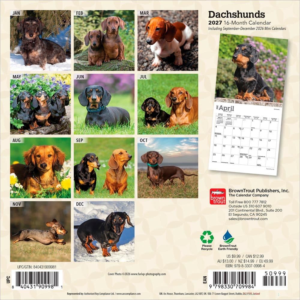 Dachshunds 2027 Mini Wall Calendar First Alternate Image