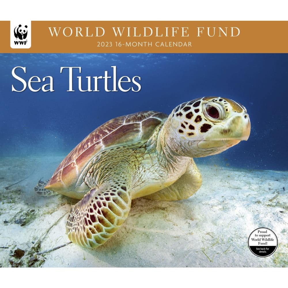 SeaTurtlesWWF2023WallCalendar