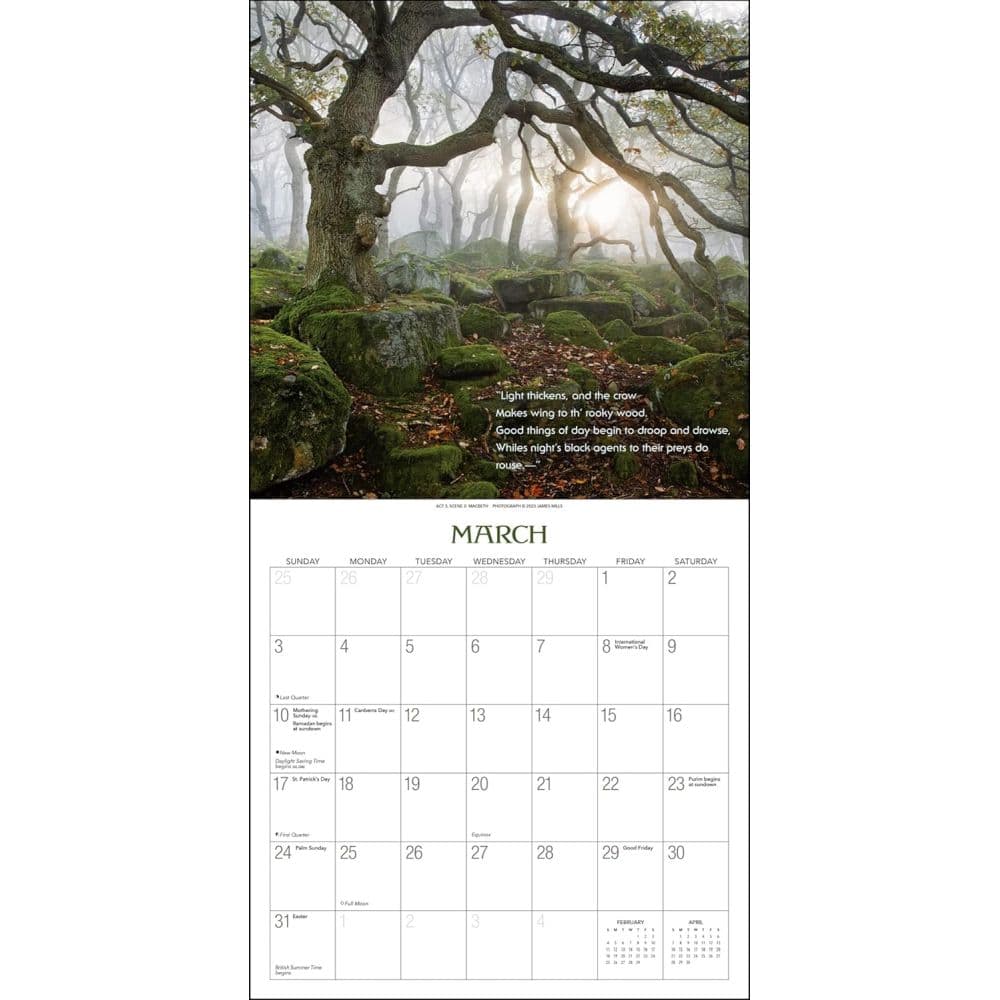 Witches Woods w/Quotes from MacBeth 2024 Wall Calendar Second Alternate Image width=&quot;1000&quot; height=&quot;1000&quot;