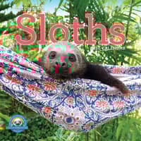 image Hangin With Sloths 2026 Wall Calendar Main Image