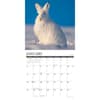 image Wildlife 2026 Wall Calendar Second Alternate Image