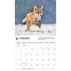 image Foxes WWF 2026 Wall Calendar Second Alternate Image