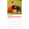image Playful Puppies 2025 Wall Calendar Fourth Alternate Image width="1000" height="1000"