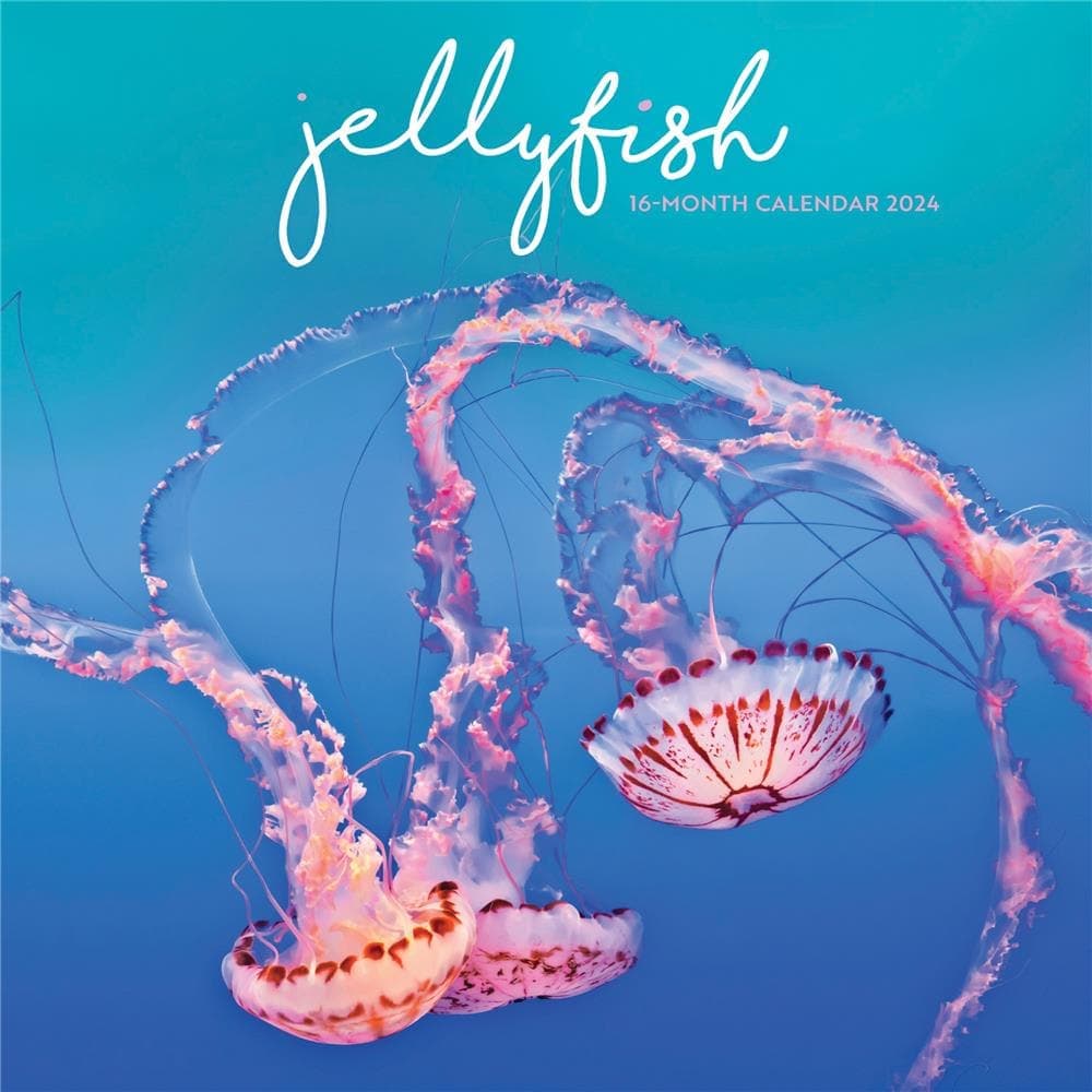 Jellyfish 2024 Wall Calendar Main Product Image width=&quot;1000&quot; height=&quot;1000&quot;