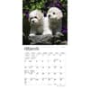 image Bichon Frise Puppies 2024 Mini Wall Calendar Second Alternate Image width=&quot;1000&quot; height=&quot;1000&quot;