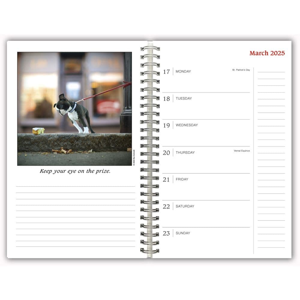 Dogs Guide To Life Classic 2025 Planner Fifth Alternate Image width=&quot;1000&quot; height=&quot;1000&quot;