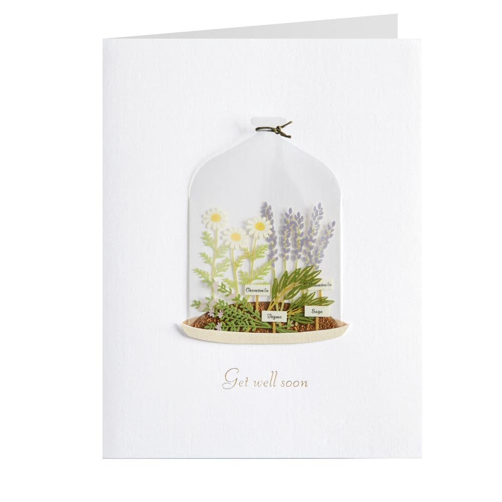 Plants in Cloche Get Well Card Sixth Alternate Image width=&quot;1000&quot; height=&quot;1000&quot;