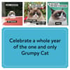 image Grumpy Cat 2024 Wall Calendar alternate 2