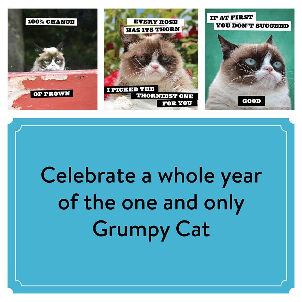 Grumpy Cat 2024 Wall Calendar alternate 2