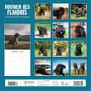 image Bouvier des Flandres 2025 Wall Calendar Alt1