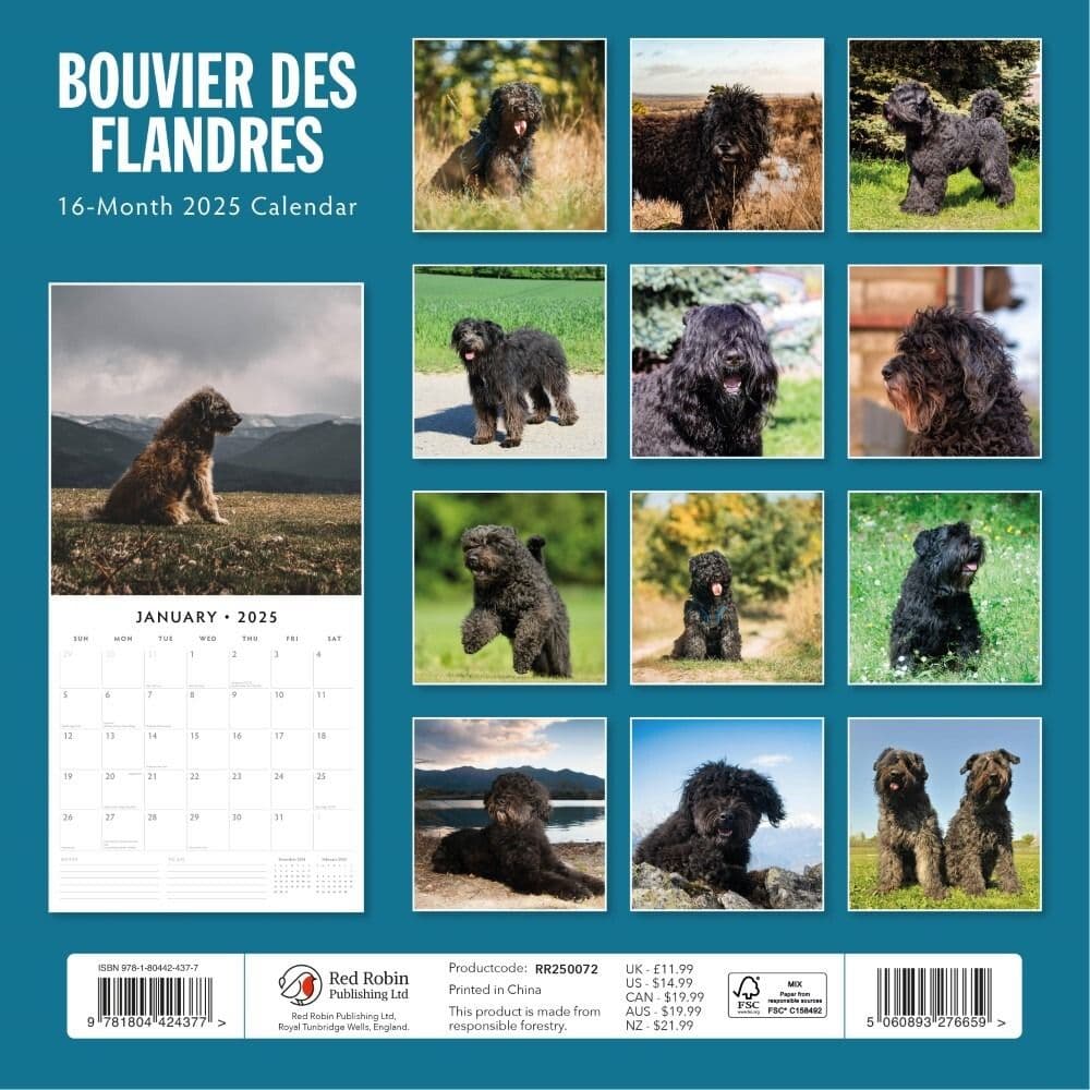 Bouvier des Flandres 2025 Wall Calendar Alt1