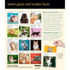 image Cat Page-A-Day Gallery 2027 Desk Calendar First Alternate Image