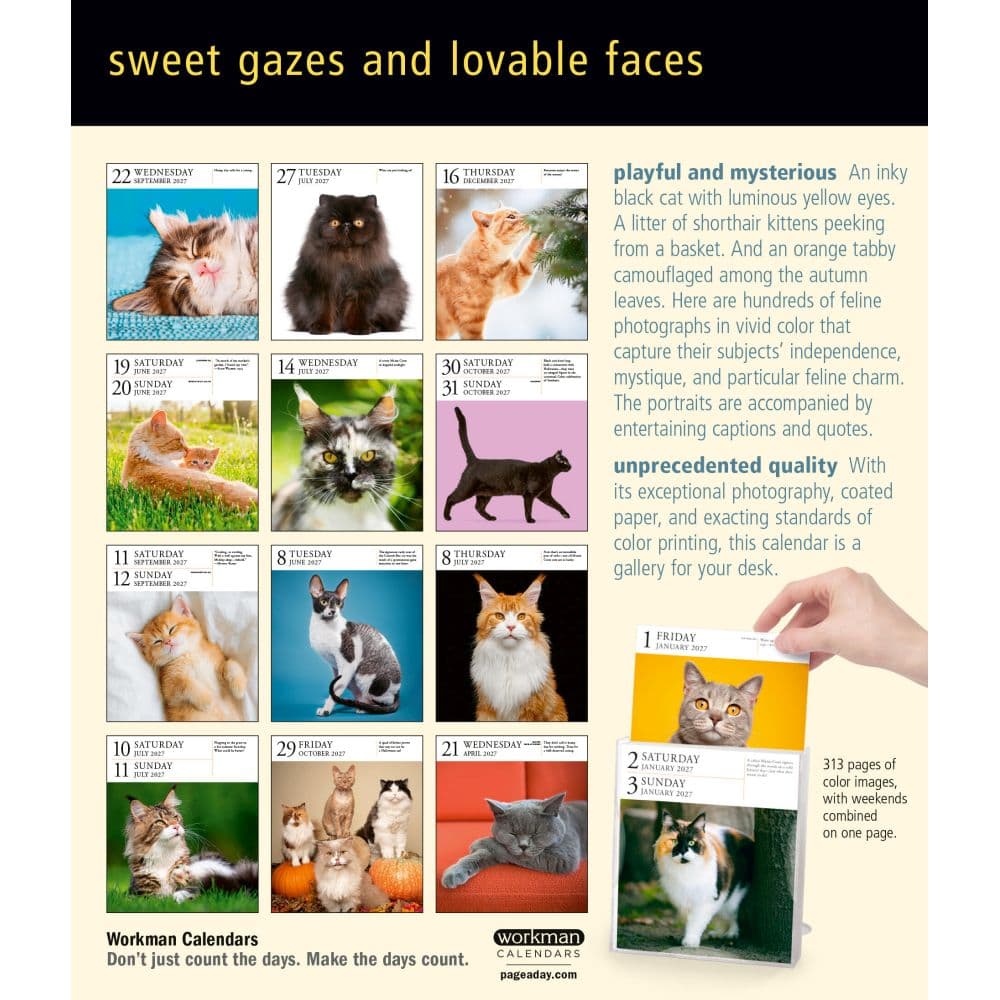Cat Page-A-Day Gallery 2027 Desk Calendar First Alternate Image