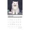 image What Kittens Teach Us 2026 Wall Calendar Second Alternate Image