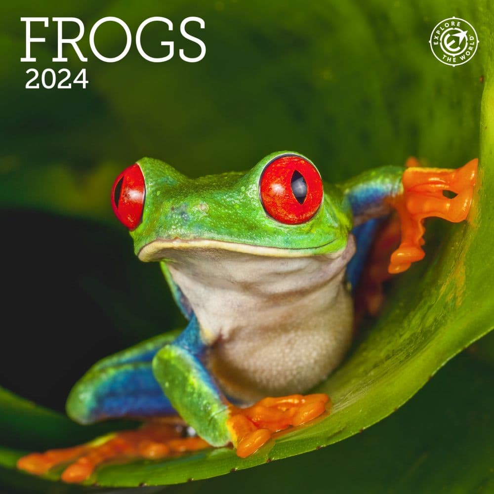 Frogs 2024 Mini Wall Calendar Main Product Image width=&quot;1000&quot; height=&quot;1000&quot;