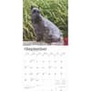 image Miniature Schnauzers 2025 Wall Calendar Third Alternate Image width=&quot;1000&quot; height=&quot;1000&quot;