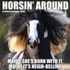 image Horsin Around 2026 Wall Calendar Main Image
