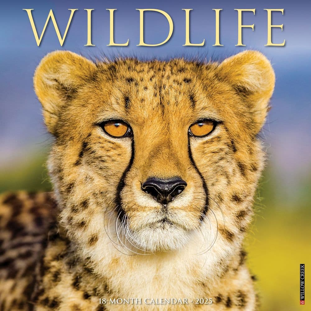 Wildlife 2025 Wall Calendar Main Image