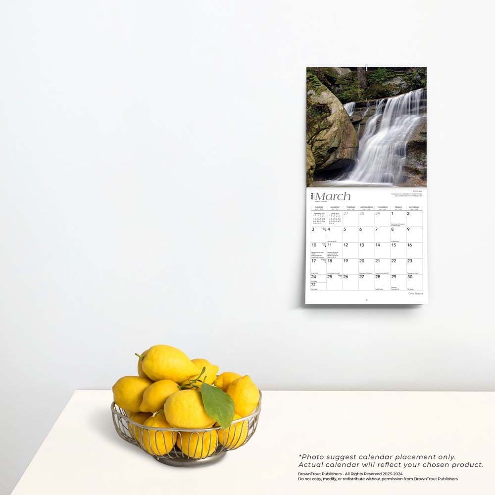 Ohio 2025 Mini Wall Calendar