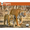 image Tigers WWF 2025 Wall Calendar Main Image