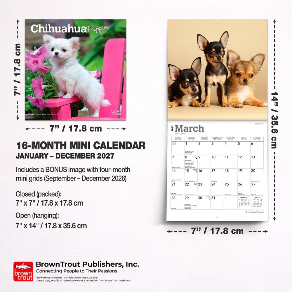 Chihuahua Puppies 2027 Mini Wall Calendar Sixth Alternate Image