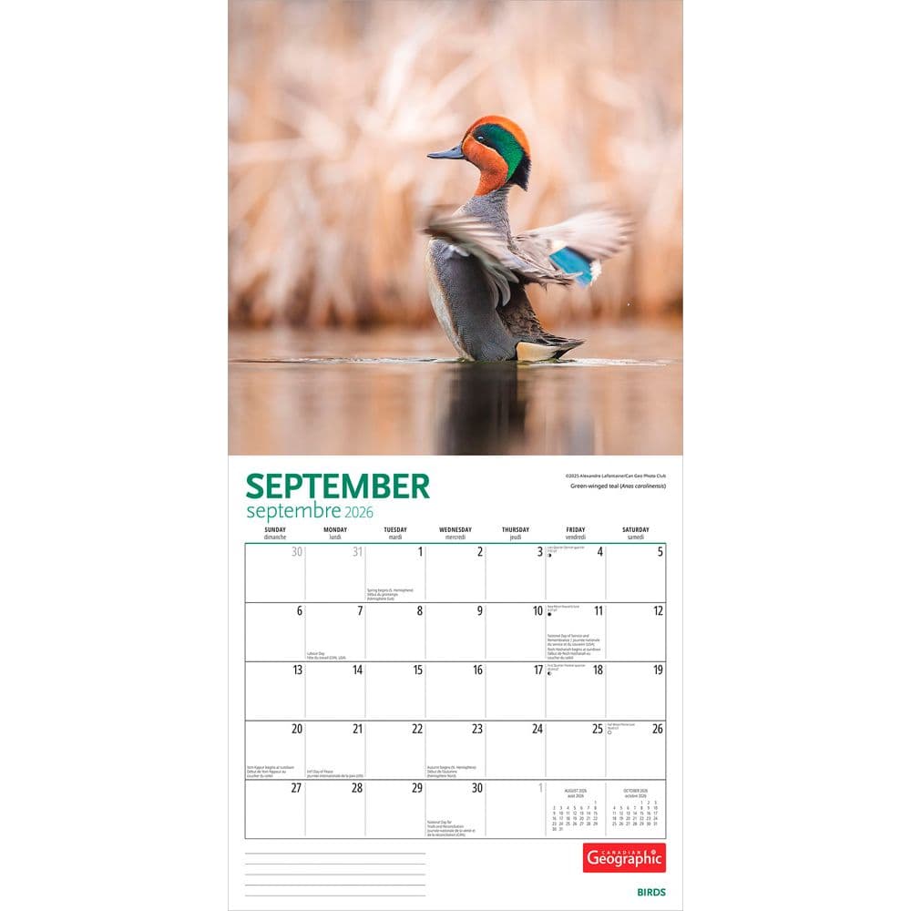 Birds 2026 Wall Calendar Third Alternate Image