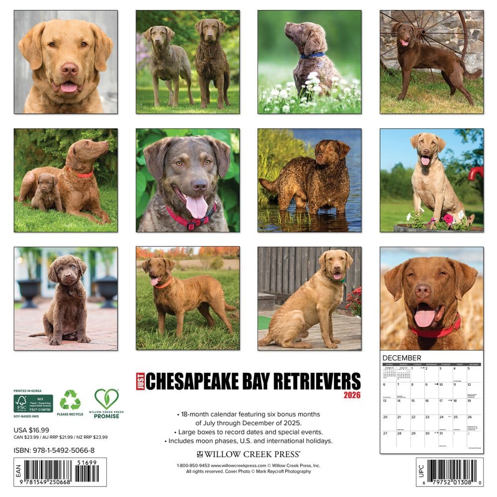 Just Chesapeake Bay Retrievers 2026 Wall Calendar First Alternate Image