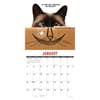 image Just Bad Kitties 2026 Wall Calendar Second Alternate Image