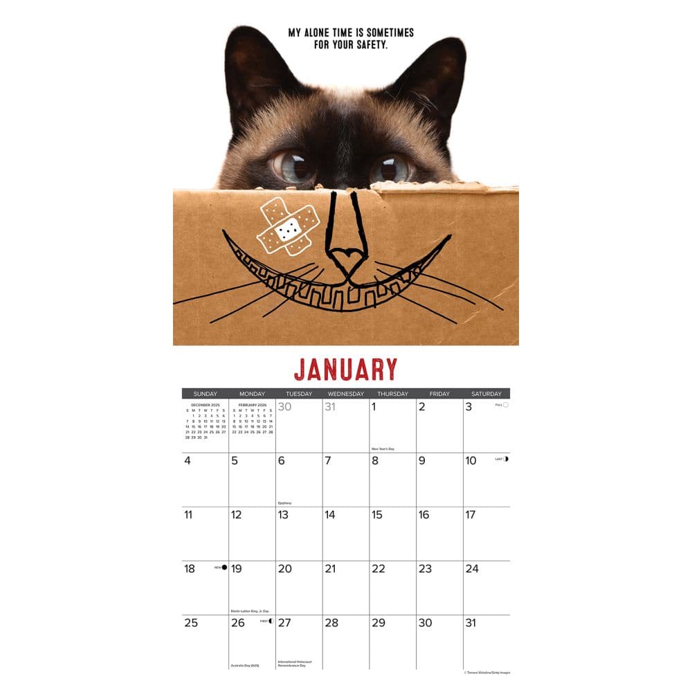Just Bad Kitties 2026 Wall Calendar Second Alternate Image