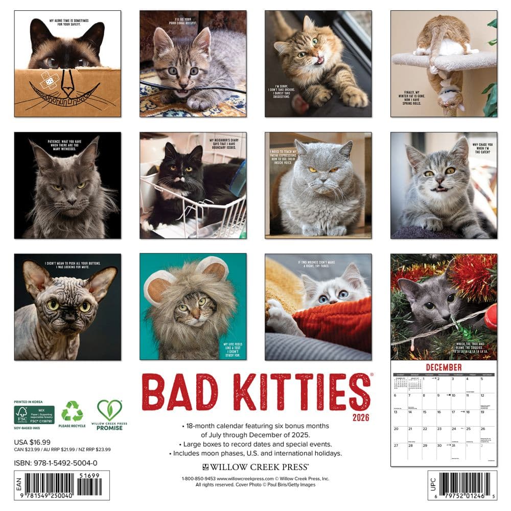 Just Bad Kitties 2026 Wall Calendar First Alternate Image