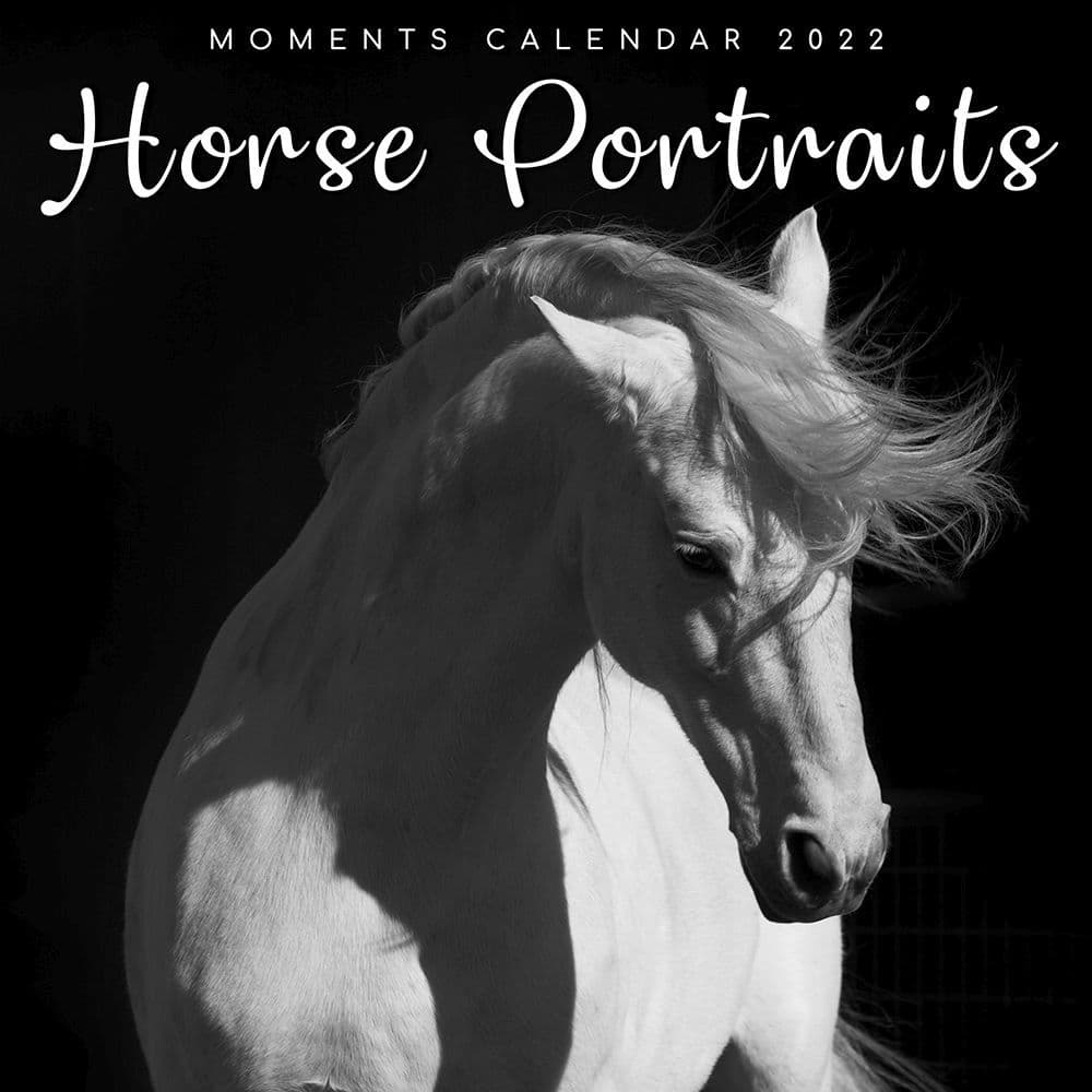 Horse Portraits 2022 Wall Calendar