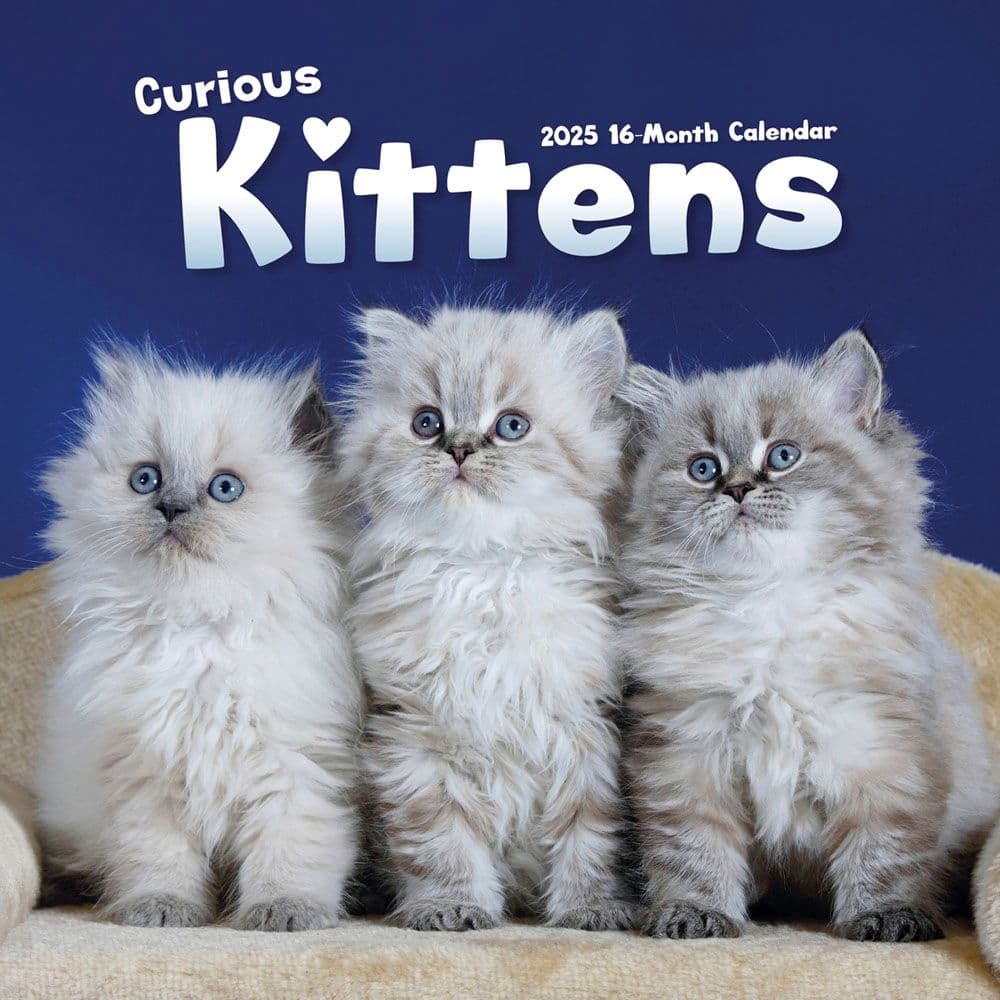 Curious Kittens 2025 Wall Calendar - Calendars.com