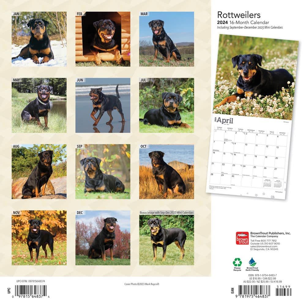 Rottweilers 2024 Wall Calendar