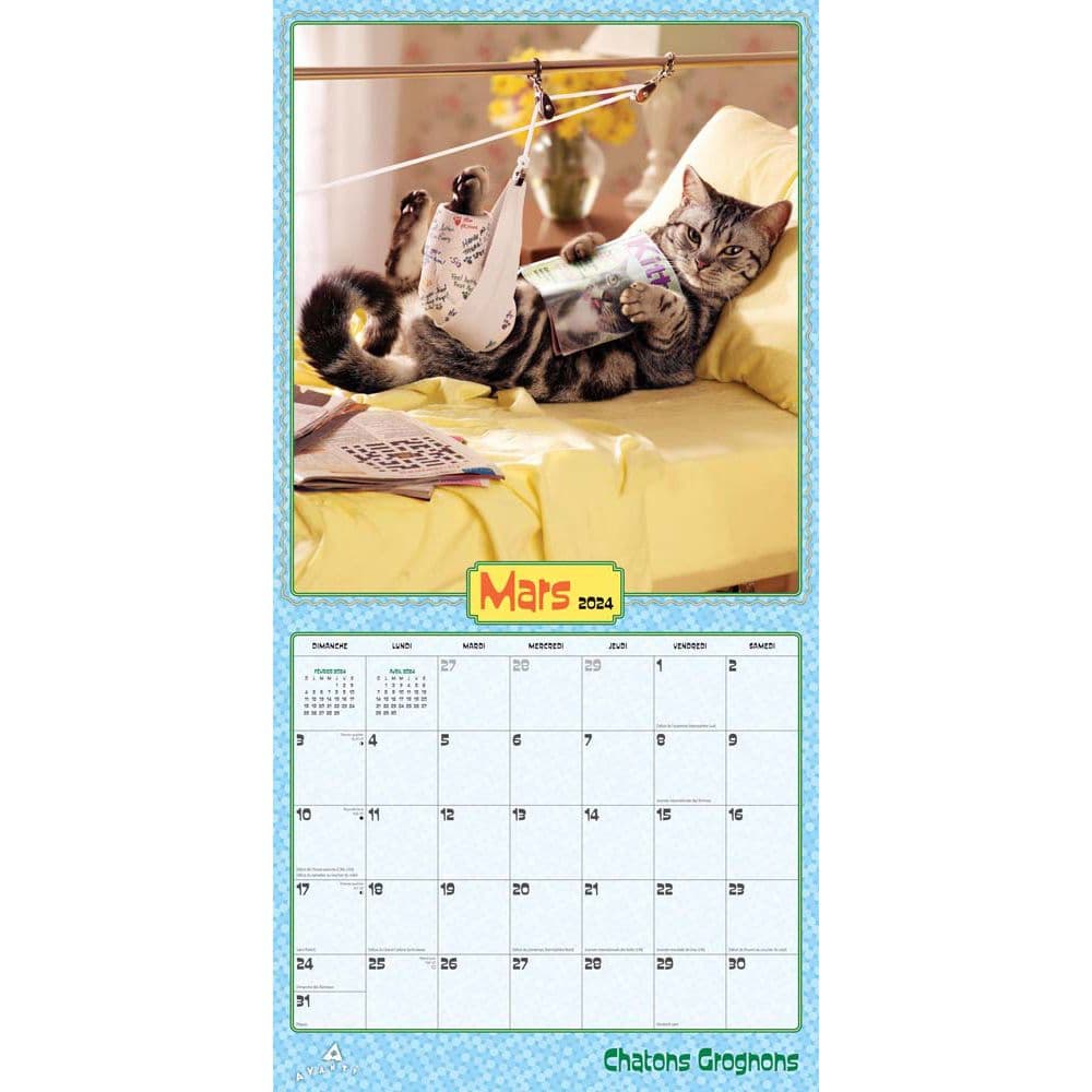 Cranky Kitties FR 2024 Wall Calendar