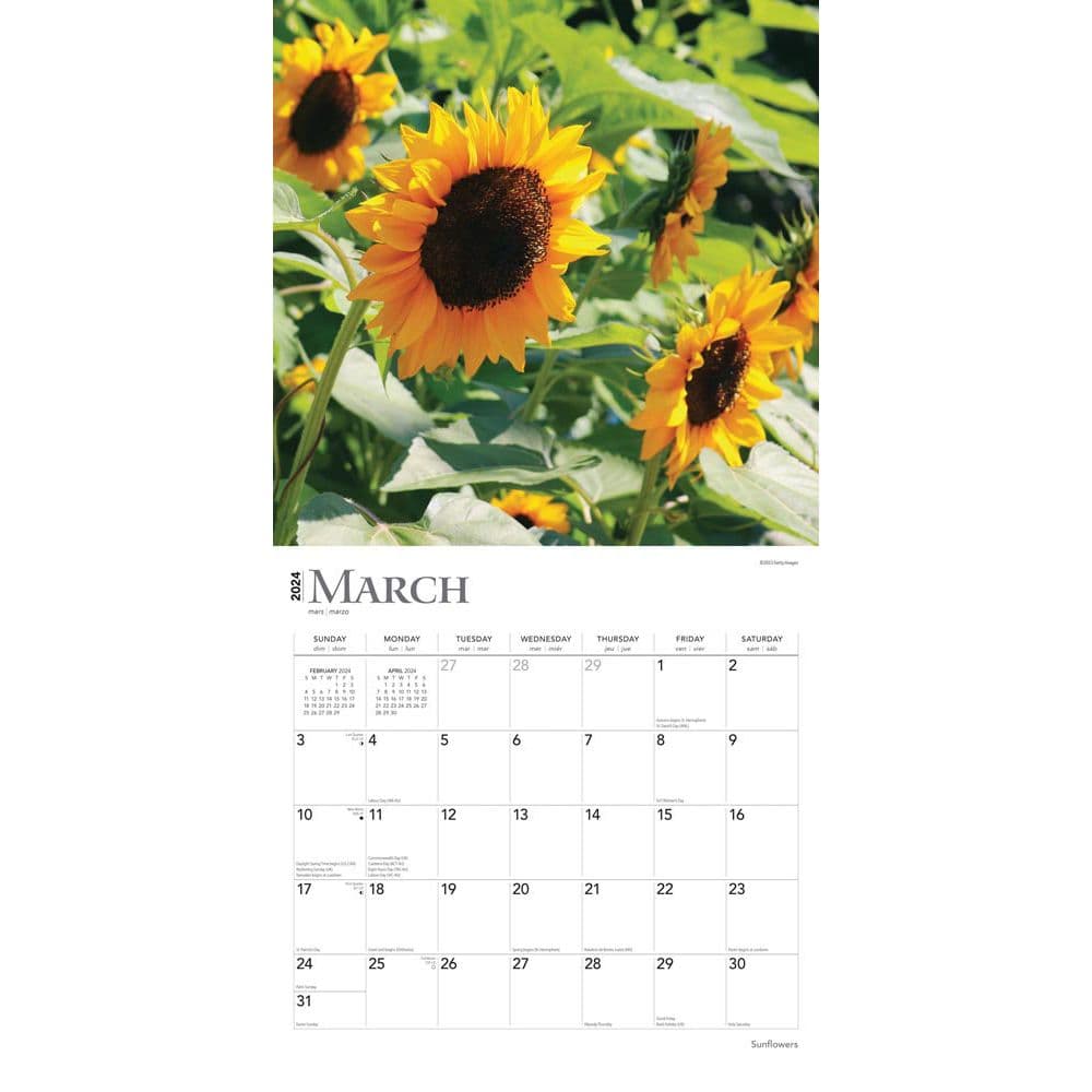 Sunflowers 2024 Wall Calendar ALT 2